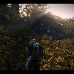 witcher2 2011-06-25 13-02-20-92