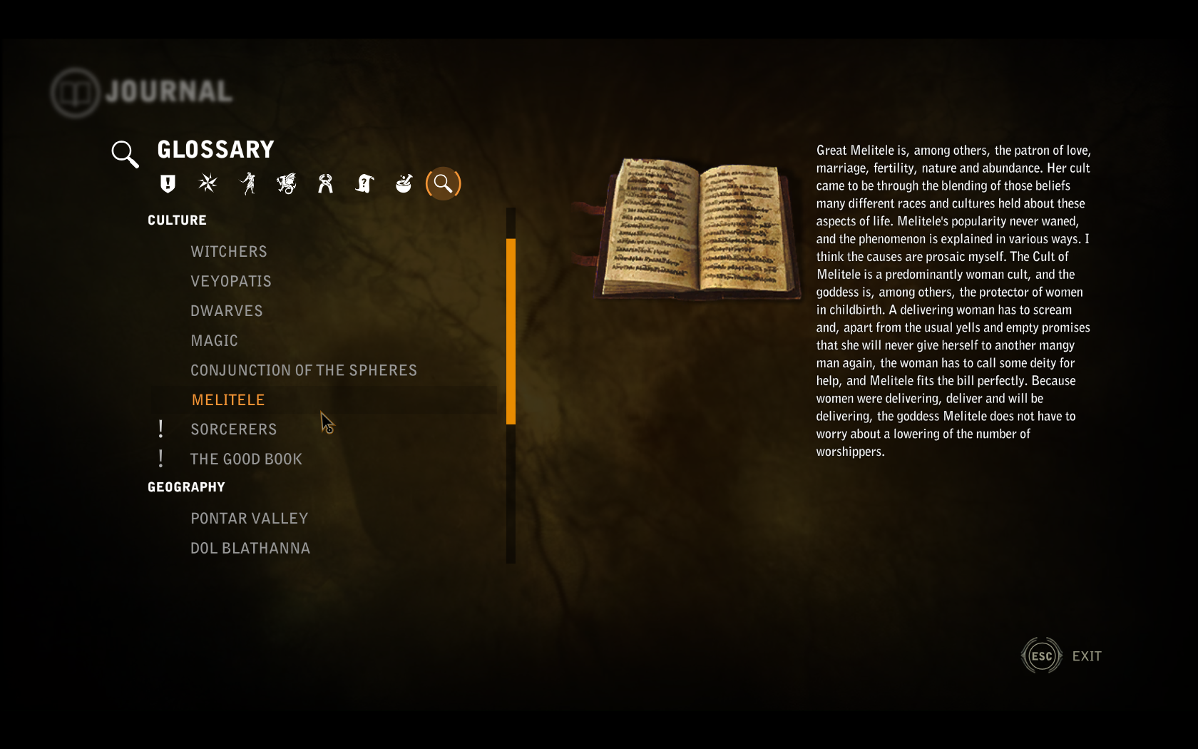 The Witcher 2 Journal